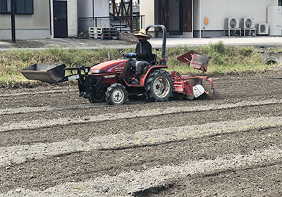 自家製米　代搔き