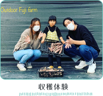 収穫体験