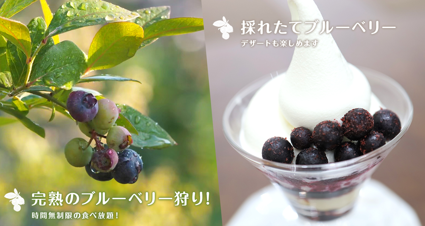 フジファーム keyimages2