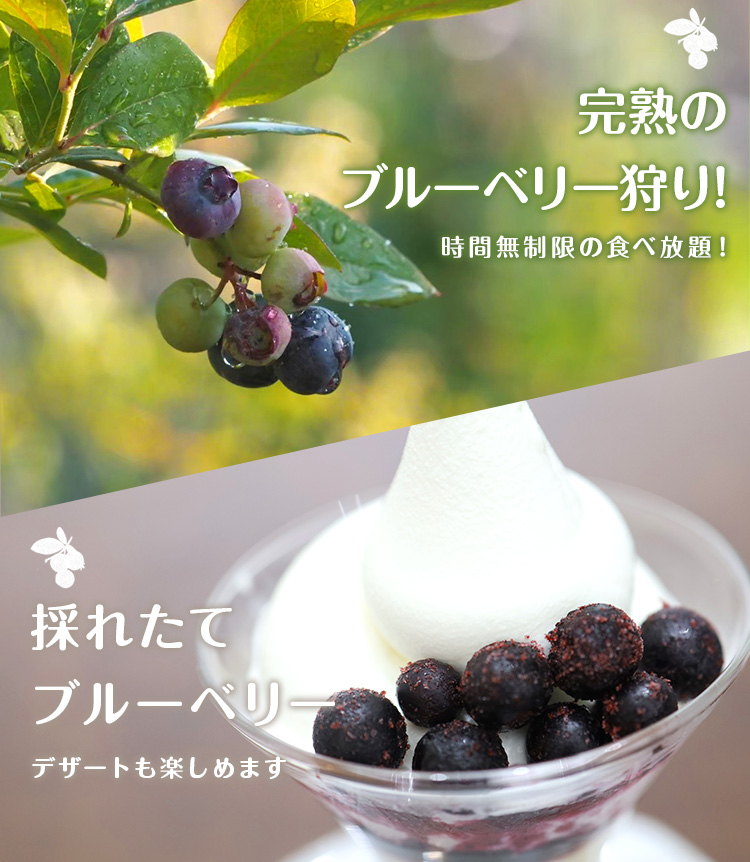 フジファーム keyimages2