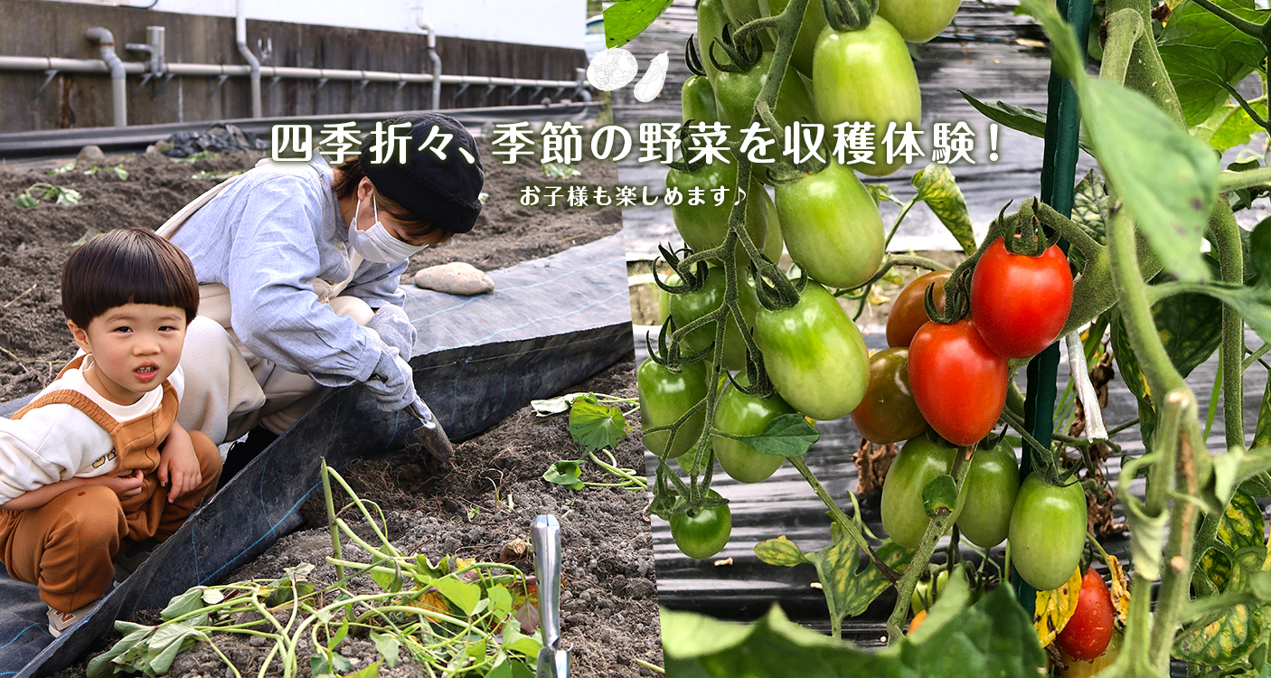 フジファーム keyimages3