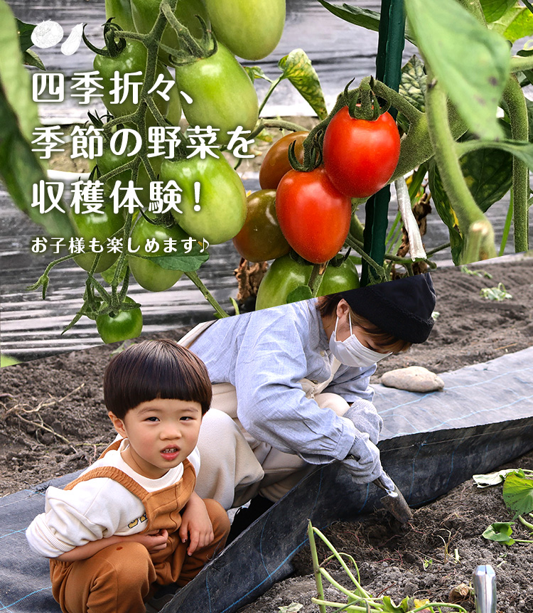 フジファーム keyimages3