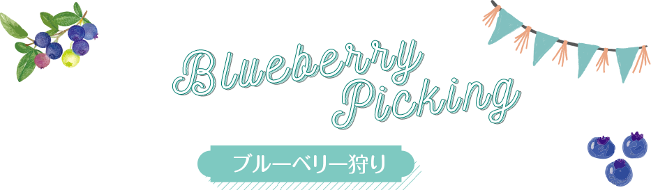 ブルーベリー狩り