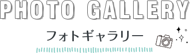フォトギャラリー