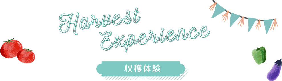 収穫体験